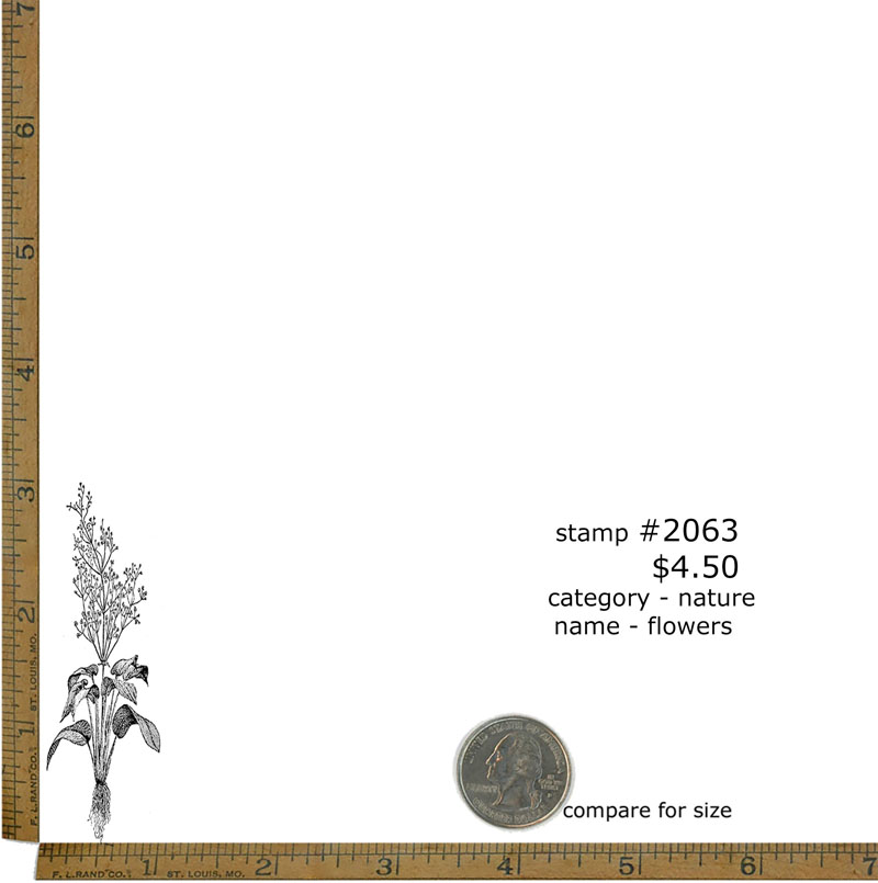 #2063 - Flowers - Nature